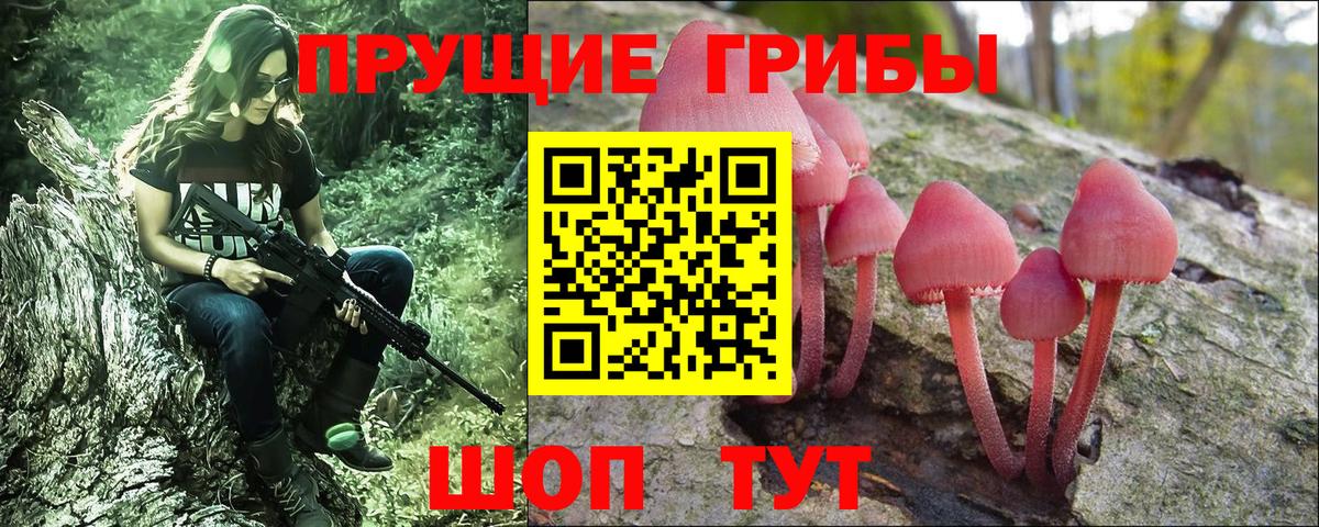 Каннабис Ставрополь