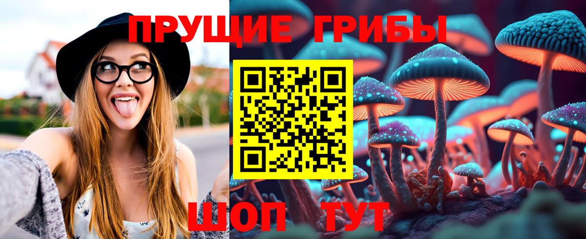 Ставрополь  Псилоцибиновые грибы прущие грибы  Вход с VPN 