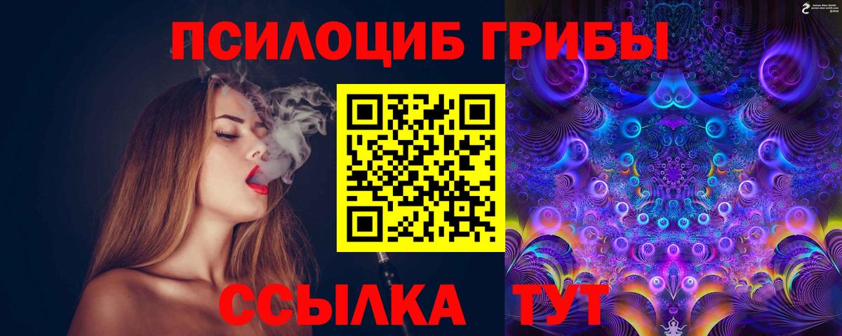 Псилоцибиновые грибы Psilocybine cubensis Ставрополь